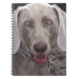 Weimaraner Notebook