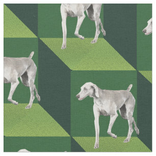 Weimaraner on Green Cubes Fabric