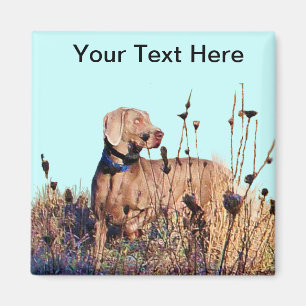 Weimaraner On Retrieve Magnet
