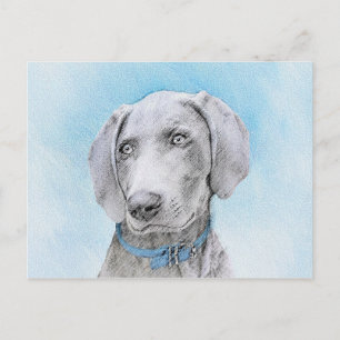 Weimaraner Painting - Cute Original Dog Art Postcard