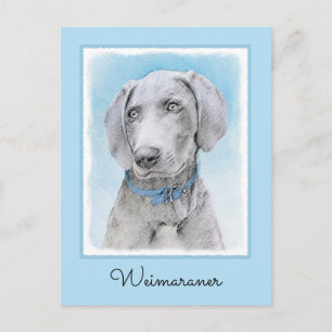 Weimaraner Painting - Cute Original Dog Art Postcard