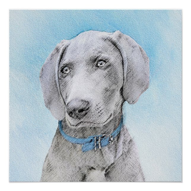 Weimaraner Painting - Cute Original Dog Art Poster (Front)