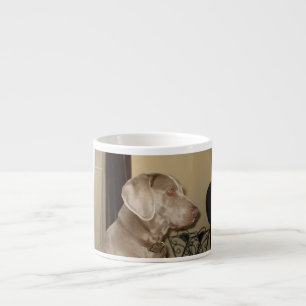 weimaraner.png espresso cup