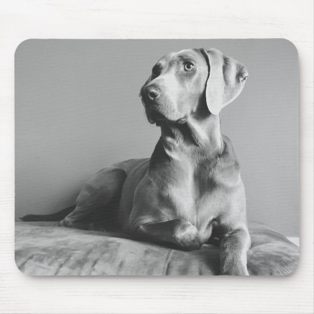Weimaraner Portrait Mouse Mat (Front)
