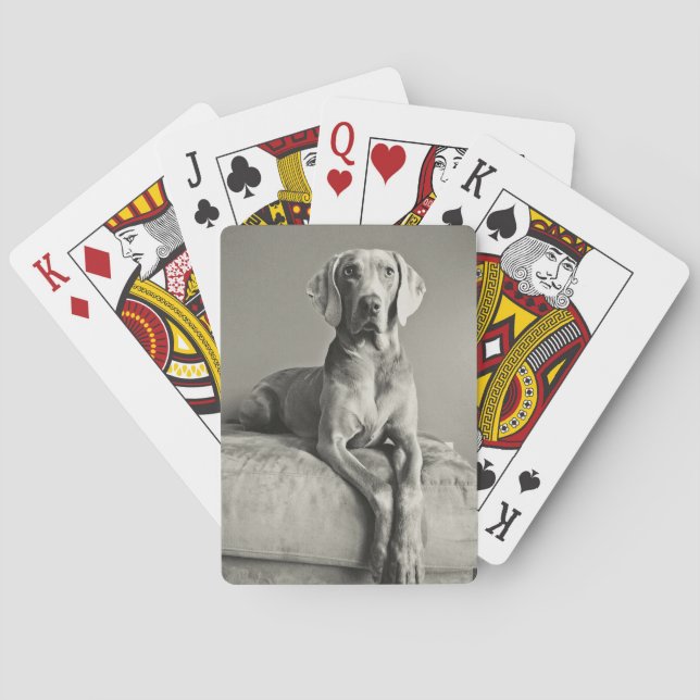 Weimaraner Portrait Playing Cards (Back)