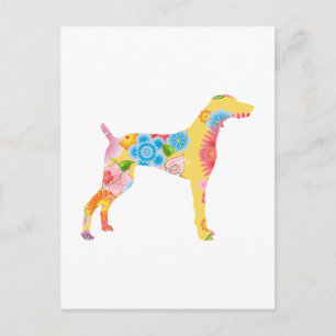Weimaraner Postcard