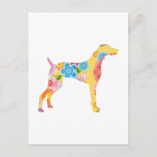 Weimaraner Postcard