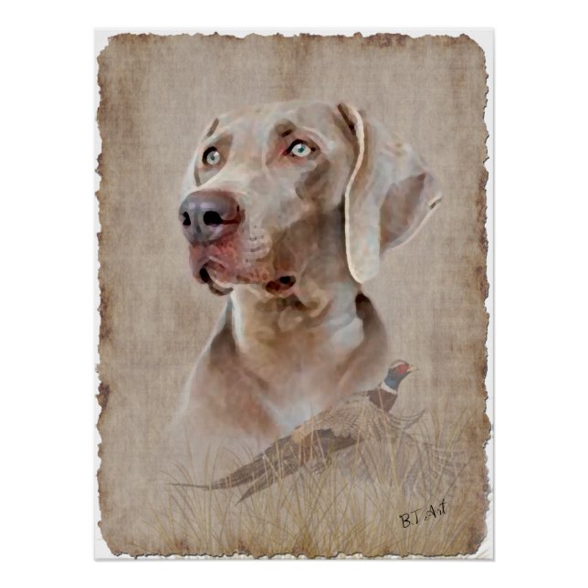 Weimaraner Poster (Front)