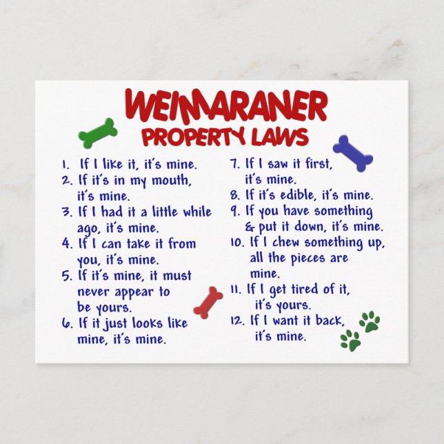 WEIMARANER Property Laws 2 Postcard (Front)
