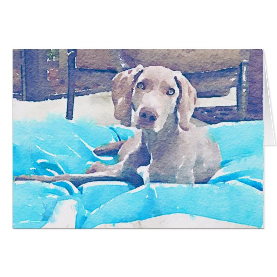 Weimaraner Pup Card