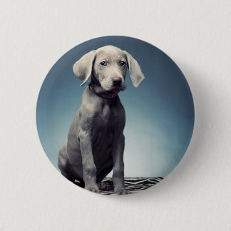 Weimaraner puppy 6 cm round badge