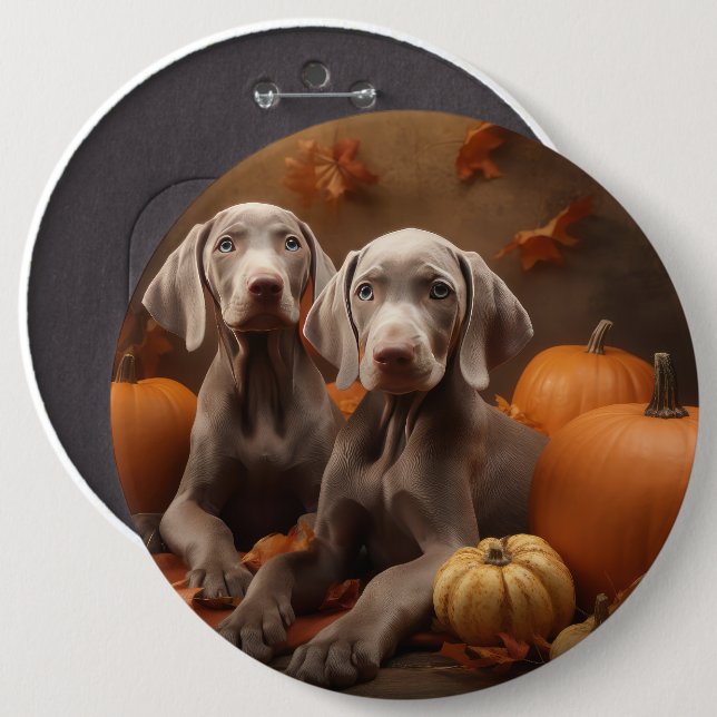 Weimaraner Puppy Autumn Delight Pumpkin 6 Cm Round Badge (Front & Back)