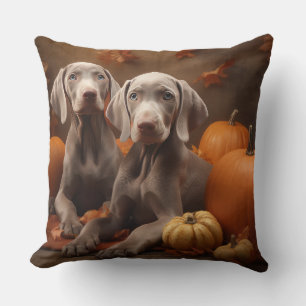 Weimaraner Puppy Autumn Delight Pumpkin Cushion