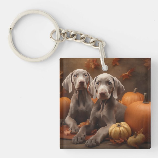 Weimaraner Puppy Autumn Delight Pumpkin Key Ring (Front)