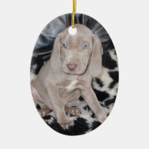 Weimaraner Puppy Ceramic Tree Decoration