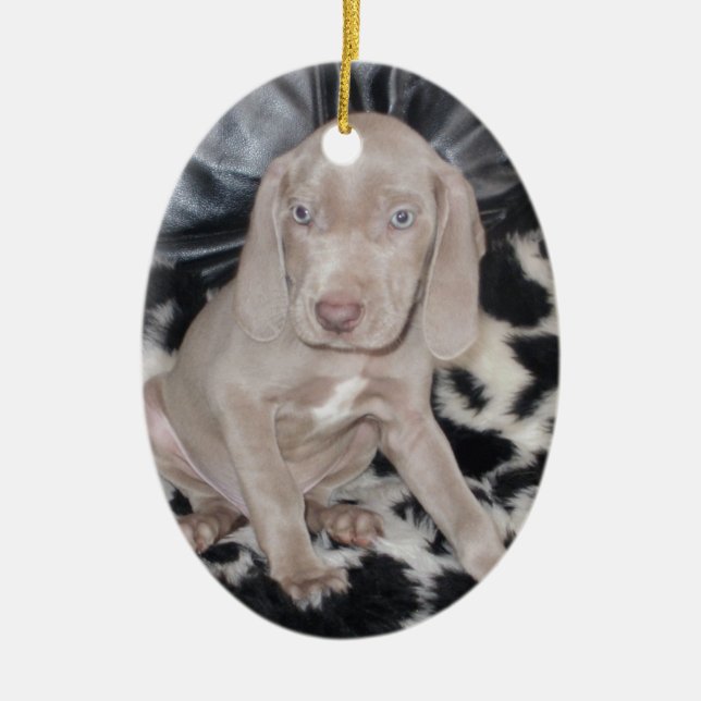Weimaraner Puppy Ceramic Tree Decoration (Front)