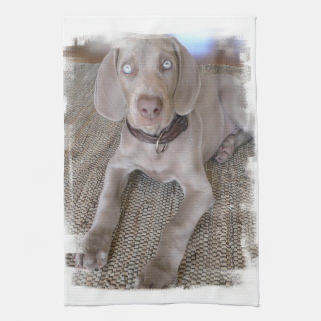 Weimaraner Puppy Kitchen Towel (Vertical)