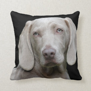 Weimaraner Silver Grey Cushion