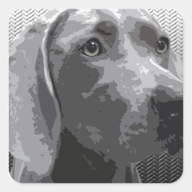 Weimaraner Square Sticker (Front)