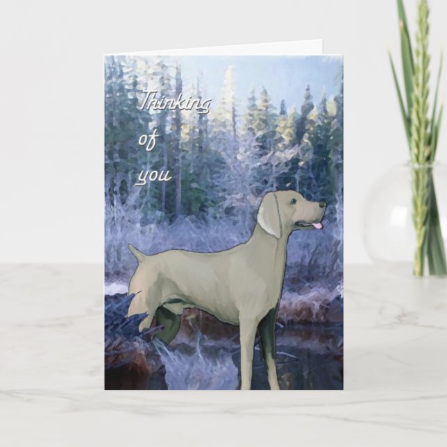 weimaraner_sympathy_card card (Front)