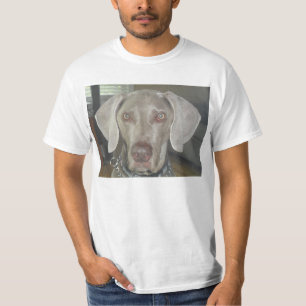 weimaraner t-shirt