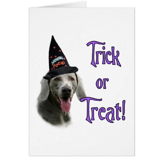 Weimaraner Trick (Front)