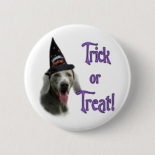 Weimaraner Trick 6 Cm Round Badge