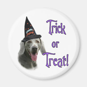 Weimaraner Trick Magnet