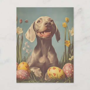 Weimaraner Vintage Easter Postcard