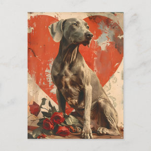 Weimaraner Vintage Valentine's Day  Postcard