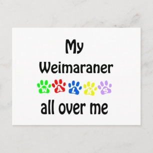 Weimaraner Walks Design Postcard