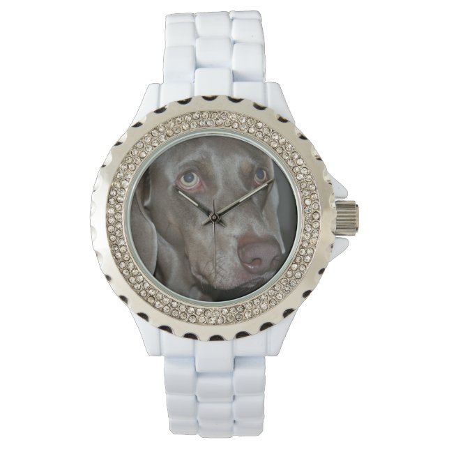 Weimaraner Watch (Front)