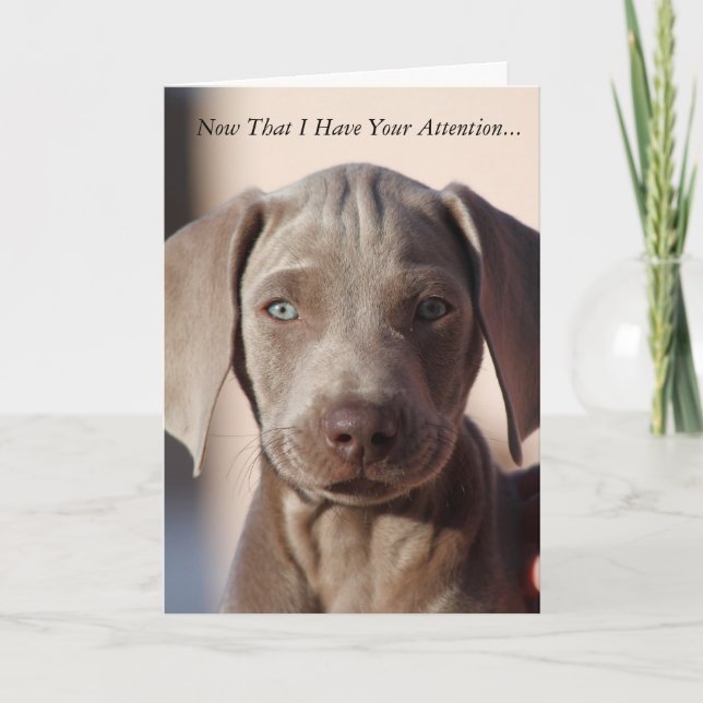 Weimaraner "You Are The Best" Greeting Card (Front)