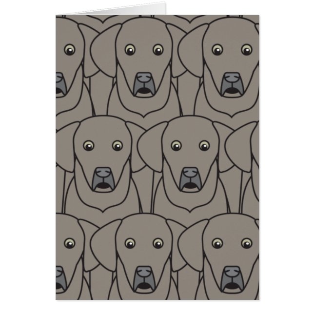 Weimaraners (Front)