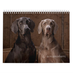 Weimaraners Calendar