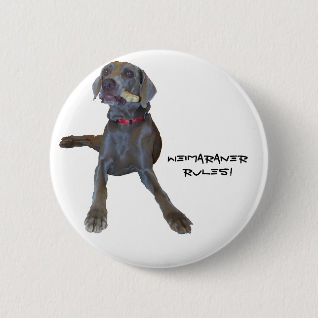 Weimaraners Rule! 6 Cm Round Badge (Front)