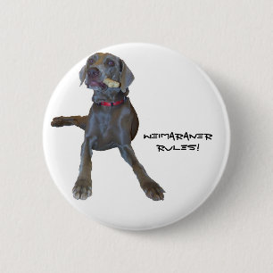 Weimaraners Rule! 6 Cm Round Badge