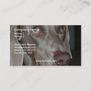 Weimeraner Dog Business Card