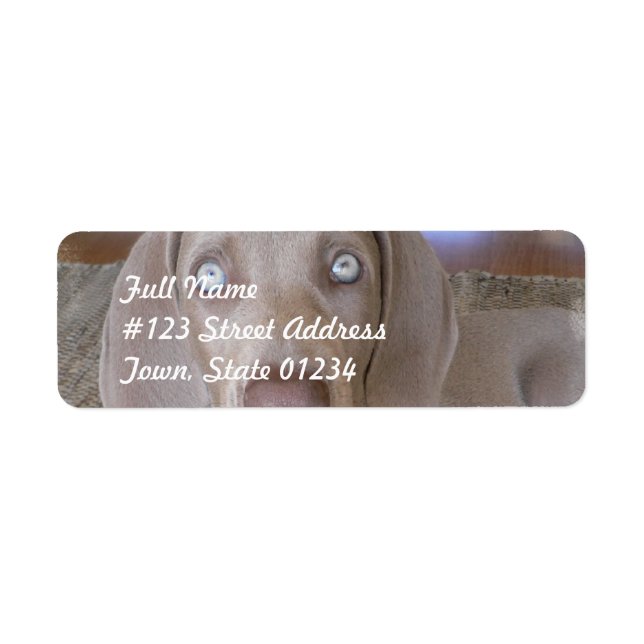 Weimeraner Dog Mailing Label (Front)