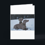 Weimeraner in the Snow Holiday Card<br><div class="desc">Two dogs in the snow</div>