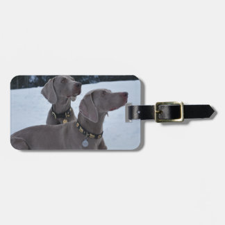 Weimeraner in the Snow Luggage Tag