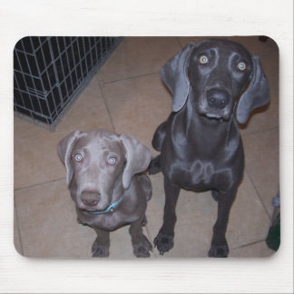 weimeraners mouse mat