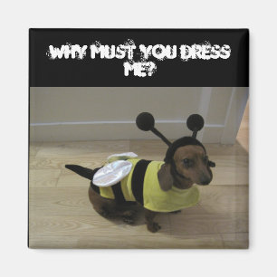 Weiner Dog Halloween Magnet
