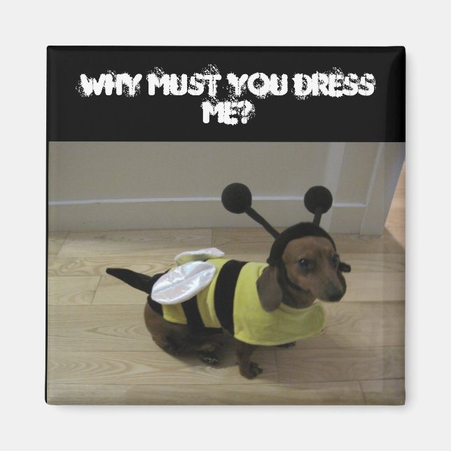 Weiner Dog Halloween Magnet (Front)