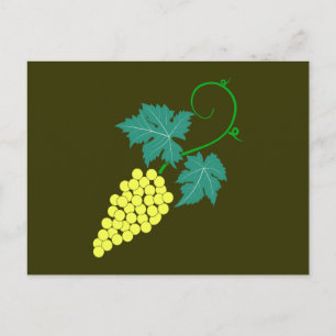 Weintrauben Rebe grapes grapevine Postcard