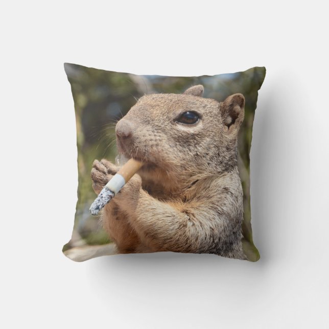 Weird and Funny Cigarette Smoker Squirrel Pillow (Front)