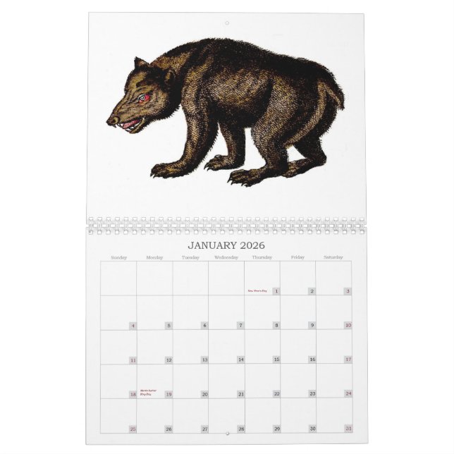 Weird Animal Calendar - 2013 (Jan 2026)