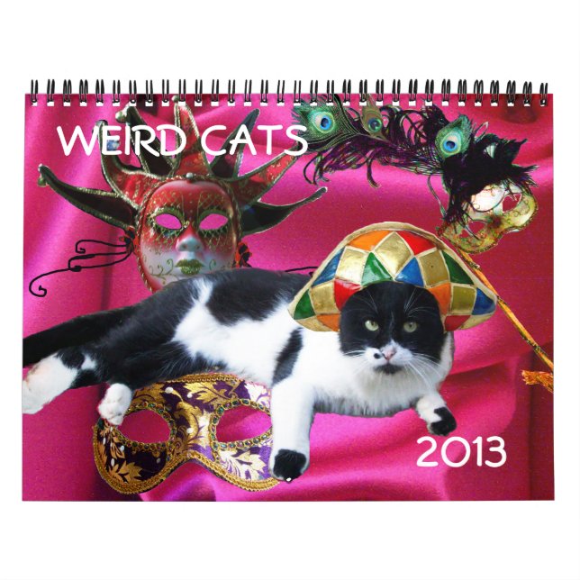 WEIRD CATS 2013 CALENDAR (Cover)
