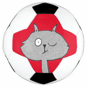 Weird Grey Cat Football