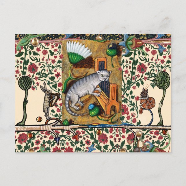 WEIRD MEDIEVAL BESTIARY MUSIC,CAT PLAYING ORGAN  POSTCARD (Front)